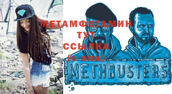 прущие грибы Лабытнанги