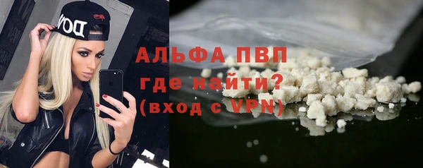 прущие грибы Лабытнанги