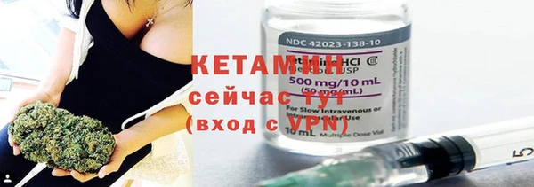 прущие грибы Лабытнанги