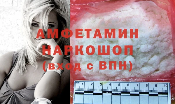 прущие грибы Лабытнанги