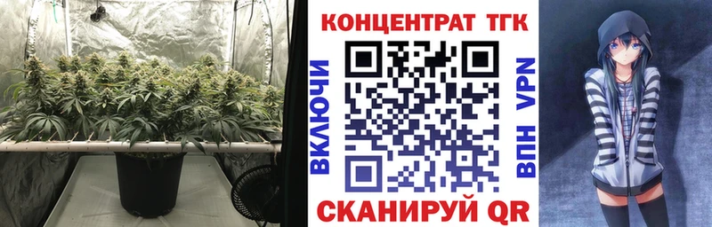 ТГК вейп  купить наркотики сайты  Козельск 