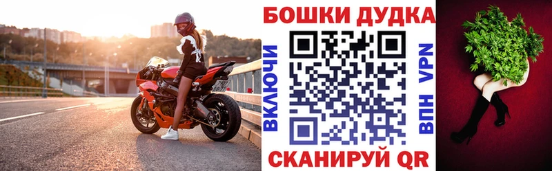 закладка  MEGA ТОР  Бошки Шишки планчик  Козельск 
